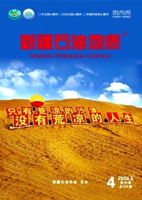 新疆石油地质封面